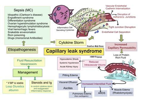 Orphanet: Systemic capillary leak syndrome